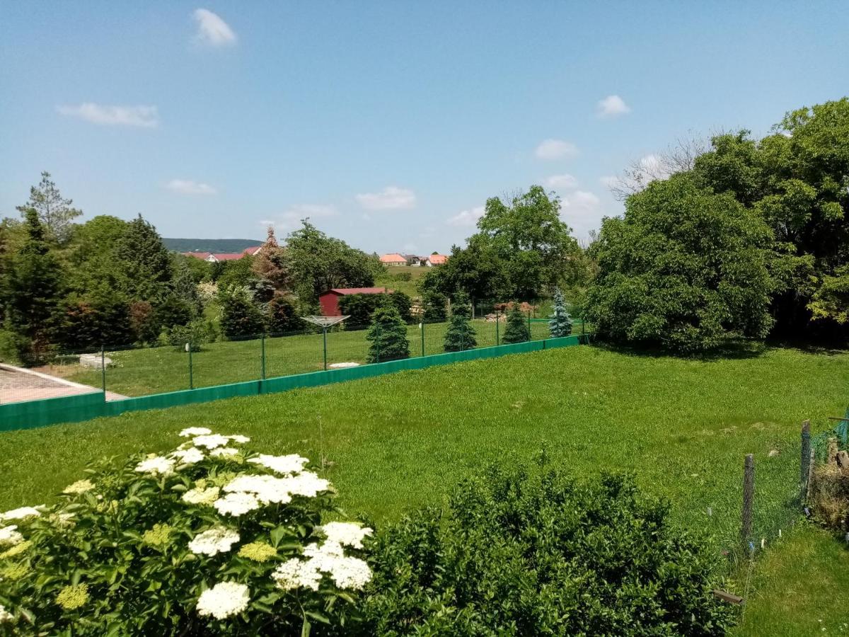Apartamento Thefi Vendégház Zánka Exterior foto
