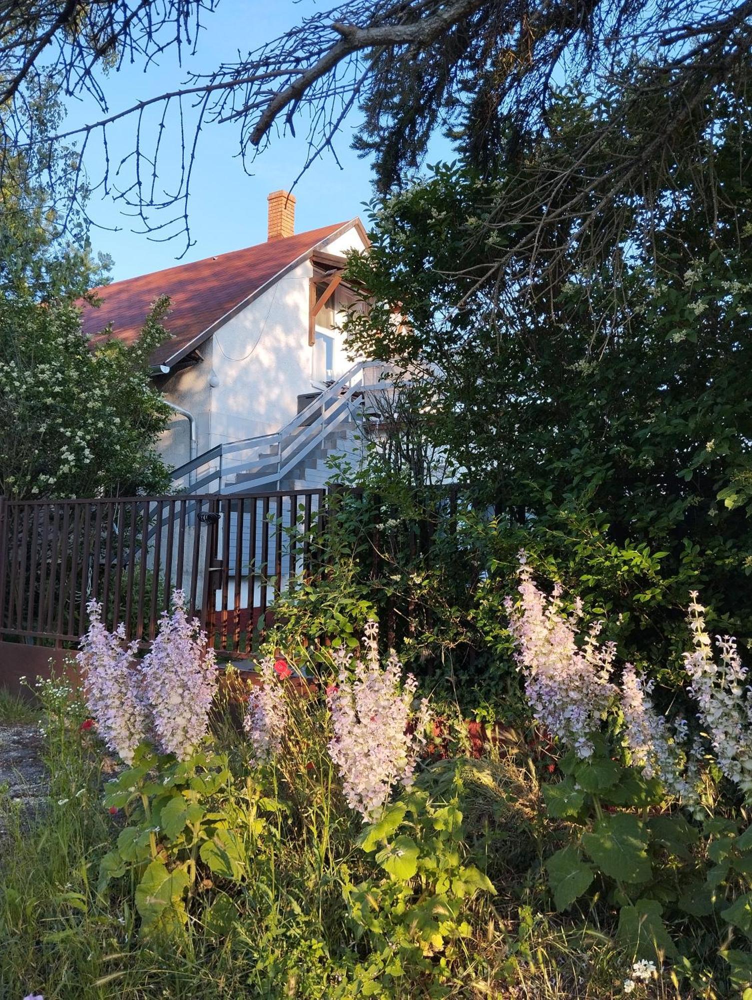Apartamento Thefi Vendégház Zánka Exterior foto